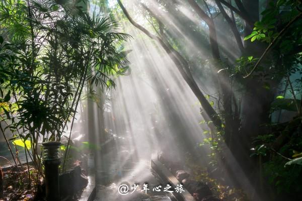 饮茶的温度应该控制在什么范围？游戏画面