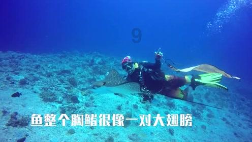 饮茶的温度应该控制在什么范围？游戏画面